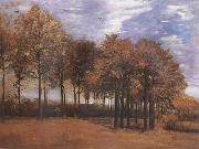 Vincent Van Gogh Autumn Landscape (nn04) oil painting picture wholesale